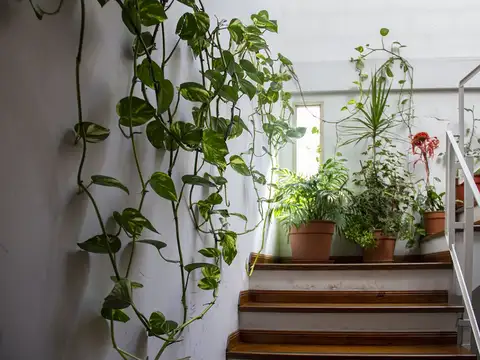 Monoambiente en venta con balcon al frente muy luminoso