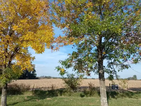 CHACRAS BRISAS DE SONNAZ