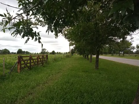 CHACRAS BRISAS DE SONNAZ