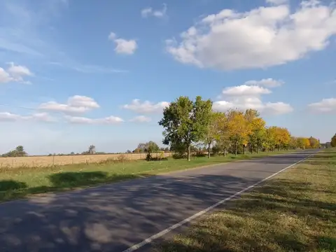 Campo en Venta de 1  ha