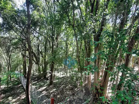 VENTA-LOTE 1680M2 EN VILLA ANIMI-ALAMBRADO