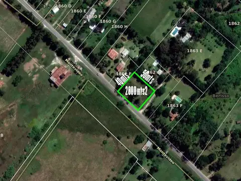 Avenida Montevideo y 82