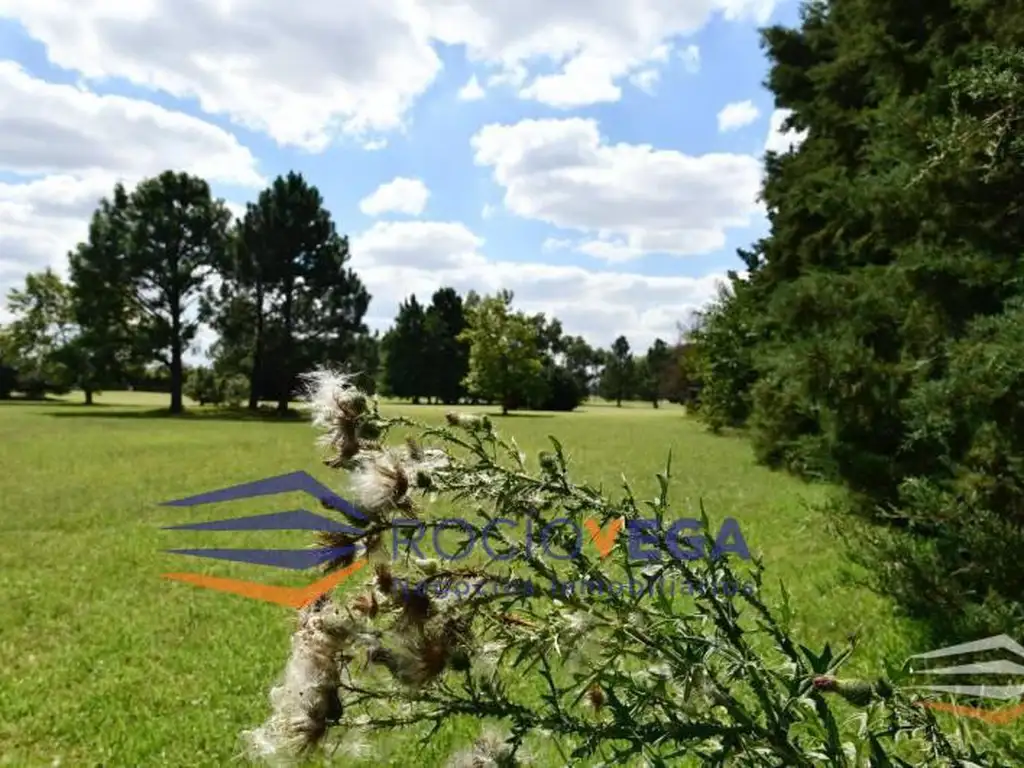 Terreno en Venta - USD 500.000