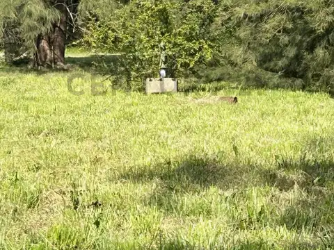 Terreno en Venta en Estacion Gomez, USD 42.000