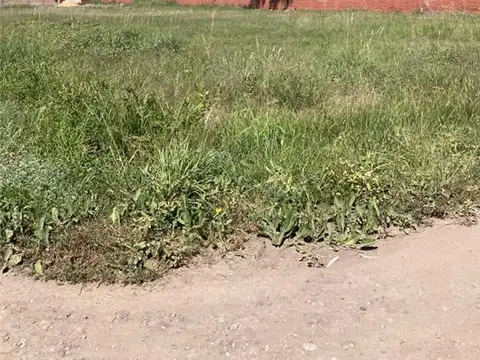 Terreno en Venta 11,06  mts Frente