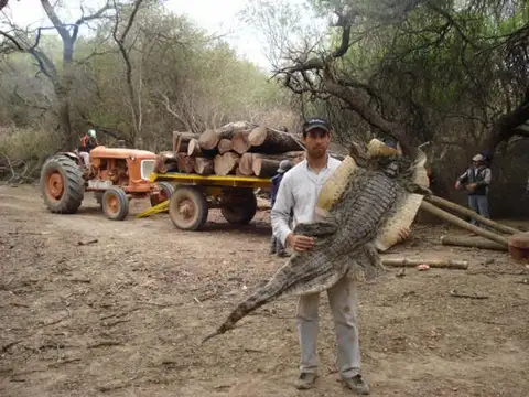Venta de 34.900 hectareas en Salta