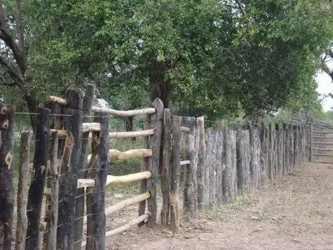 CAMPO DE 34900 HECTAREAS EN SALTA OPORTUNIDAD UNICA