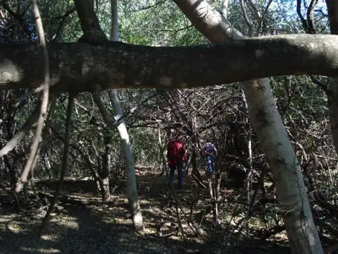 Ruta Nacional 81