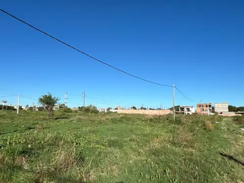 Últimos lotes zona Terminal!