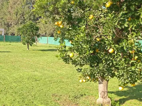 Terreno en Venta de 958,0 m2