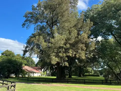 CAMPO EN VENTA, MONTE BENQUERENCIA, USO COMERCIAL.