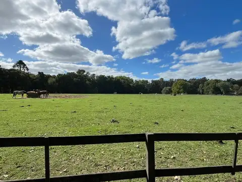 CAMPO EN VENTA, MONTE BENQUERENCIA, USO COMERCIAL.