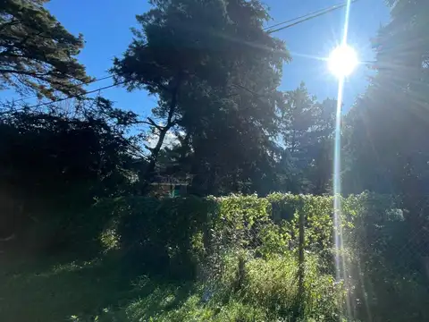 Coronel De Marina J. M. Pinedo