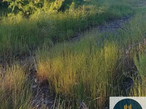 Terreno en Venta de 300,0 m2