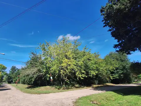 VENTA LOTE EN  ARTURO SEGUI