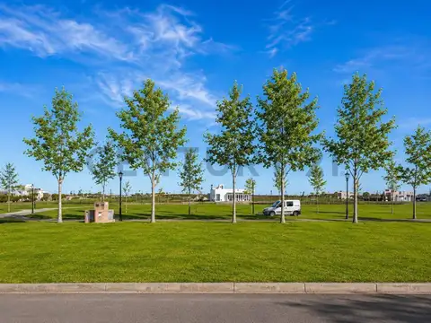Las Araucarias