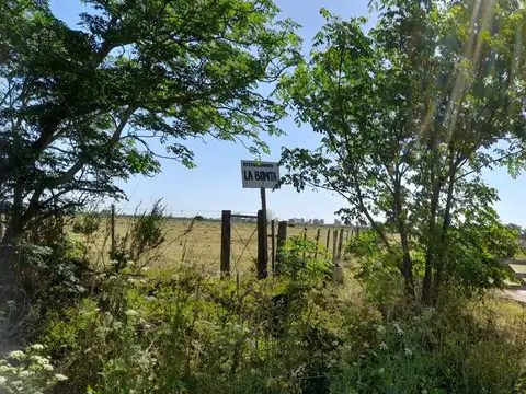 Campo  230 has en  Bella Italia