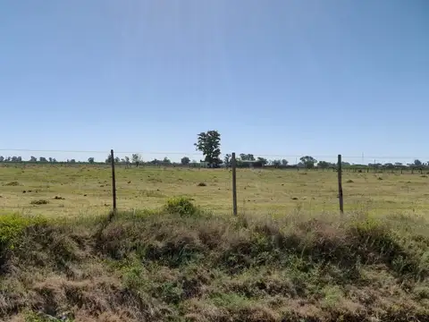 Ruta 70