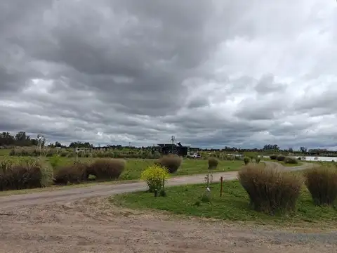 Laguna De Las Pampas, S. Andres De Giles