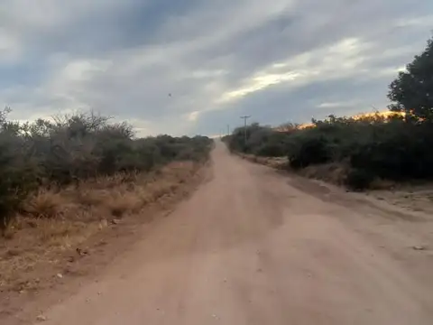 Ruta N° 1