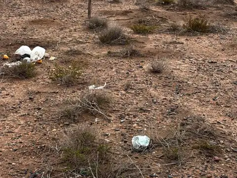 Lote 300 M2 en la Meseta de Centenario