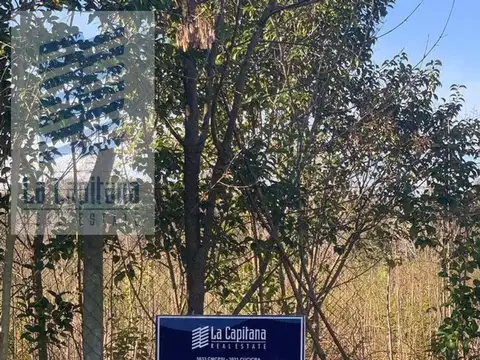 Nueva Zelanda Esquina Suecia Al 100