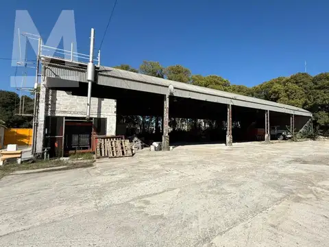 Galpon en Alquiler 17  mts Fondo