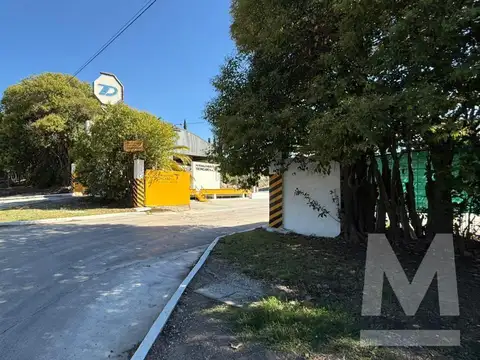 31 Entre 518 y 517
