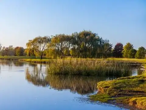 Terreno en Venta de 2142,0 m2