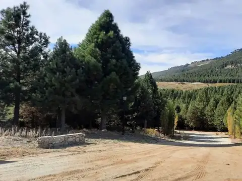 Terreno en Venta en Villa Pehuenia, USD 39.000