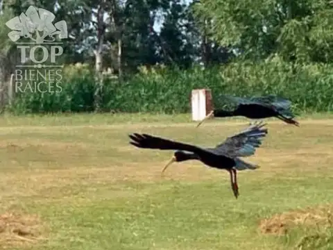 Lote-Venta-Barrio Cardales Village-Campana