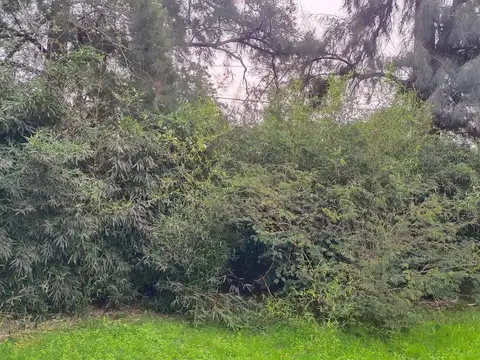 Terreno 800 M2 Con Pileta De Natación - Manzanares