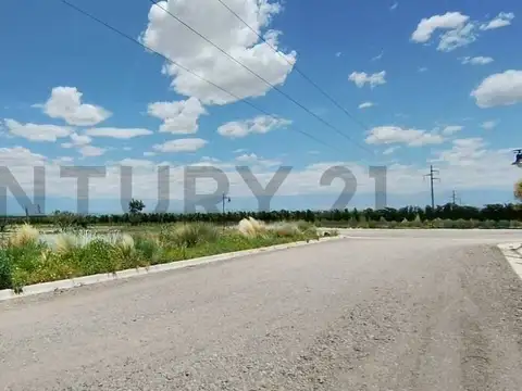 Terreno en Venta 19,41  mts Frente