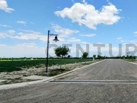 Century 21 López vende Lote en Barrio Privado Tupungato Valley, Valle de Uco, Mendoza