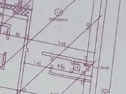 Noguera 100