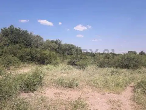 CHACRA 15has - Paso Viejo con riego y escritura