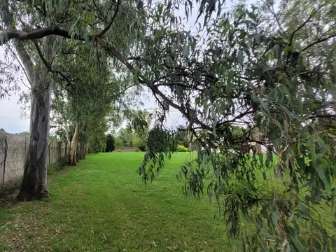 Terreno en Venta, FOS 60