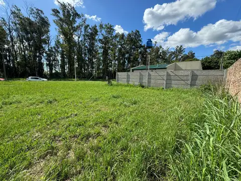 Terreno en venta en Piñero