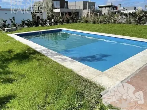 Araucarias 100