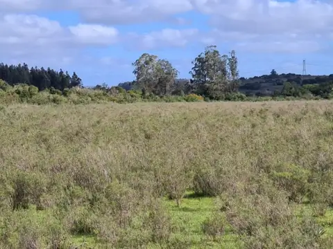 Ruta 60-Coronel Manuel Francisco