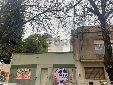 39 entre 12 y 13 , Piso 0