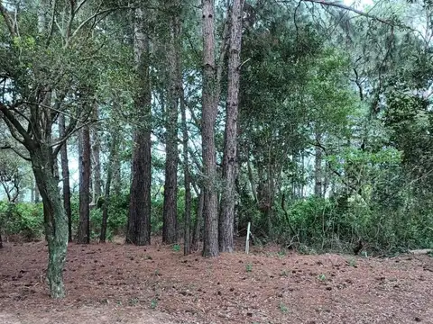 Terreno en Venta de 1500,0 m2