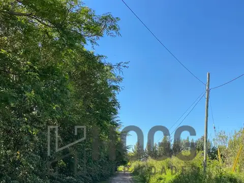 Lote Residencial zona de quintas