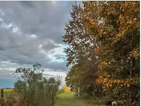 Terreno en Venta de 800,0 m2