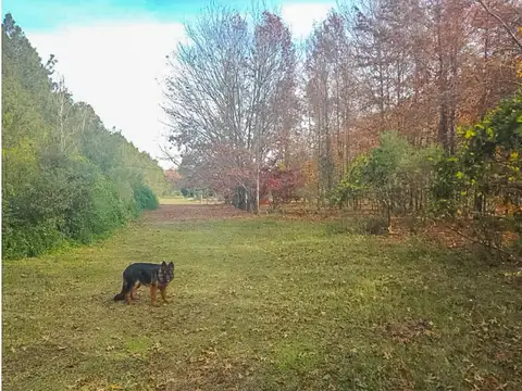 Lotes en Estancia La Catalina – Club de campo – Barrio Privado