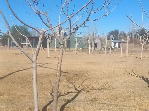 VENTA LOTE B° LA UNIÓN COLONIA SEGOVIA GLLÉN