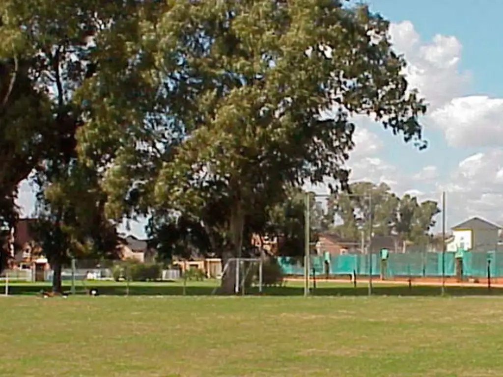 Actividades deportivas futbol, voley, tenis, basquet, hockey en Campos de Alvarez