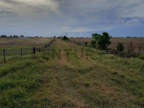 Campo en Alquiler de 0,14  ha