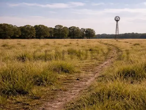 ALQUILER 1447 HECTAREAS EN ENTRE RIOS