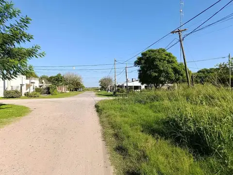 Calle 6